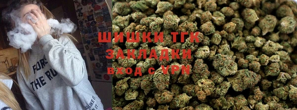 дживик Бородино