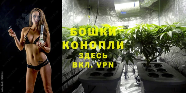 дживик Бородино
