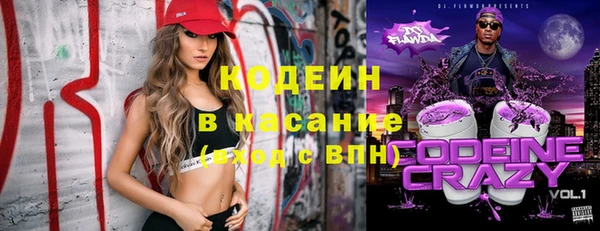 дживик Бородино
