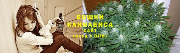 дживик Бородино