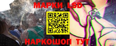 стафф Дубна
