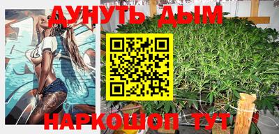 стафф Донской