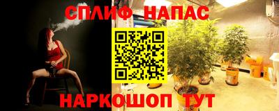 стафф Донской