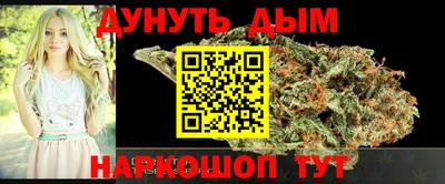стафф Дубна