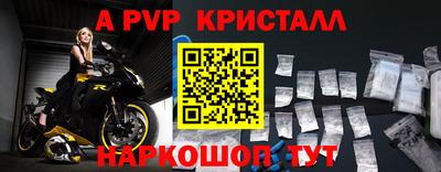 стафф Донской