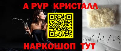 стафф Донской