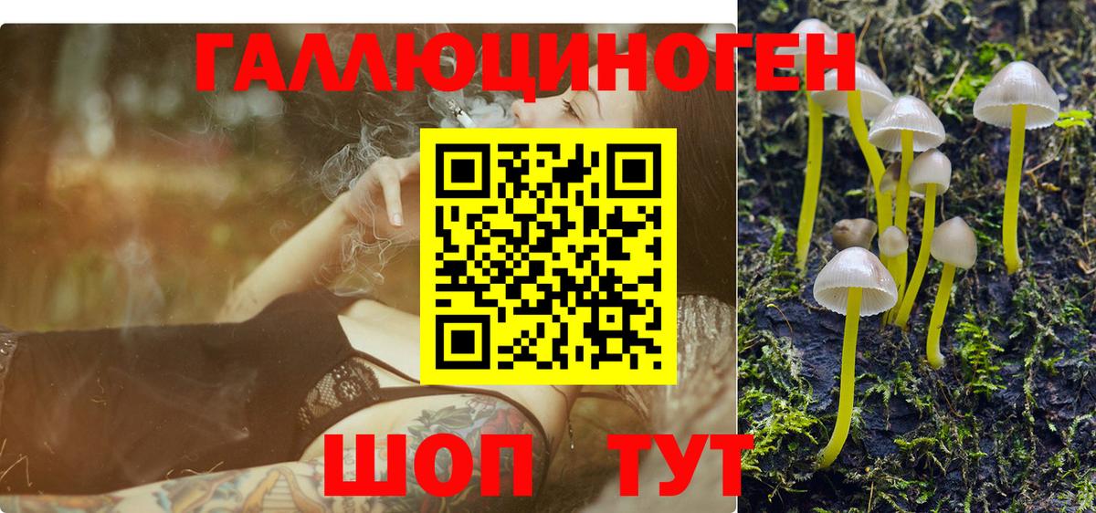 Псилоцибиновые грибы мухоморы  Вход с VPN  Можайск 